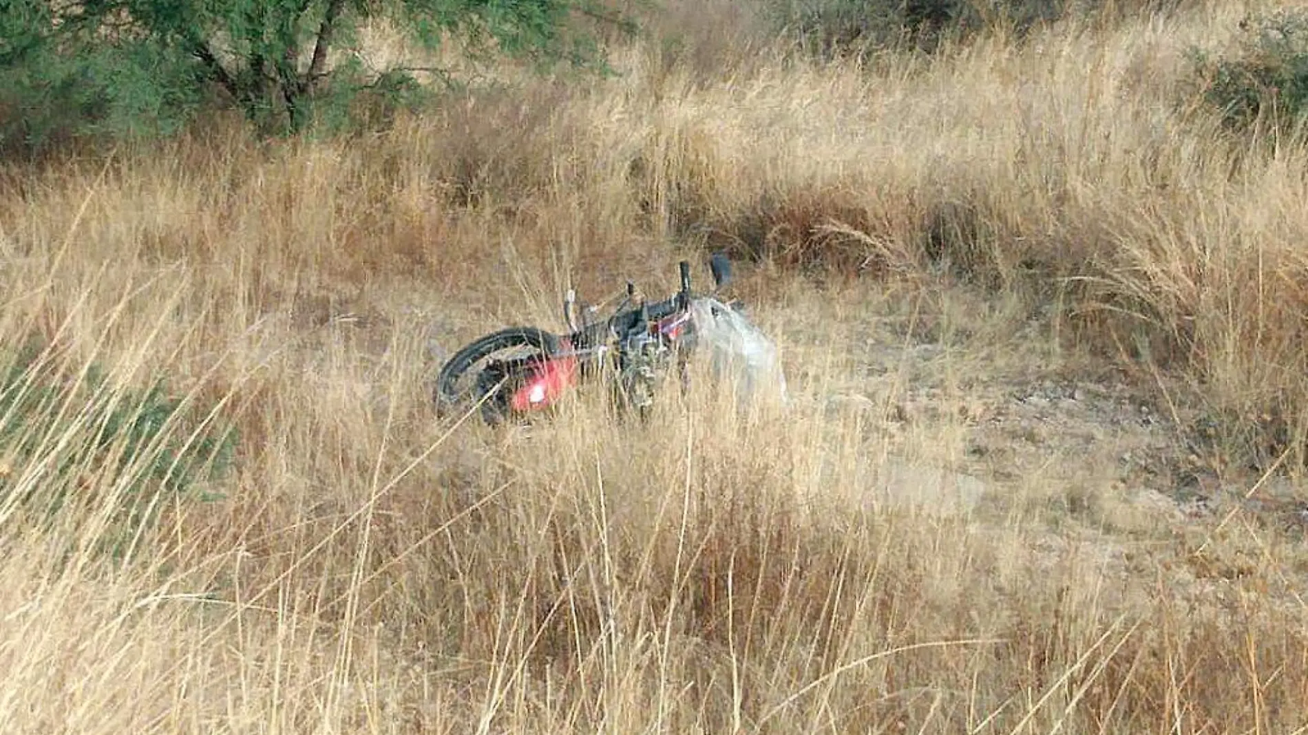 Motocicleta tirada en un pastizal